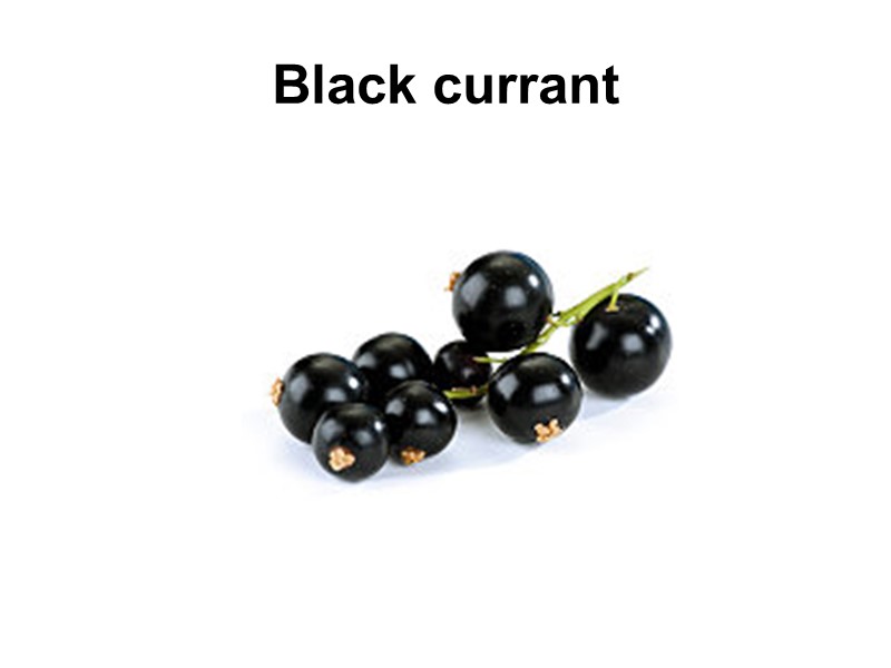 Black currant